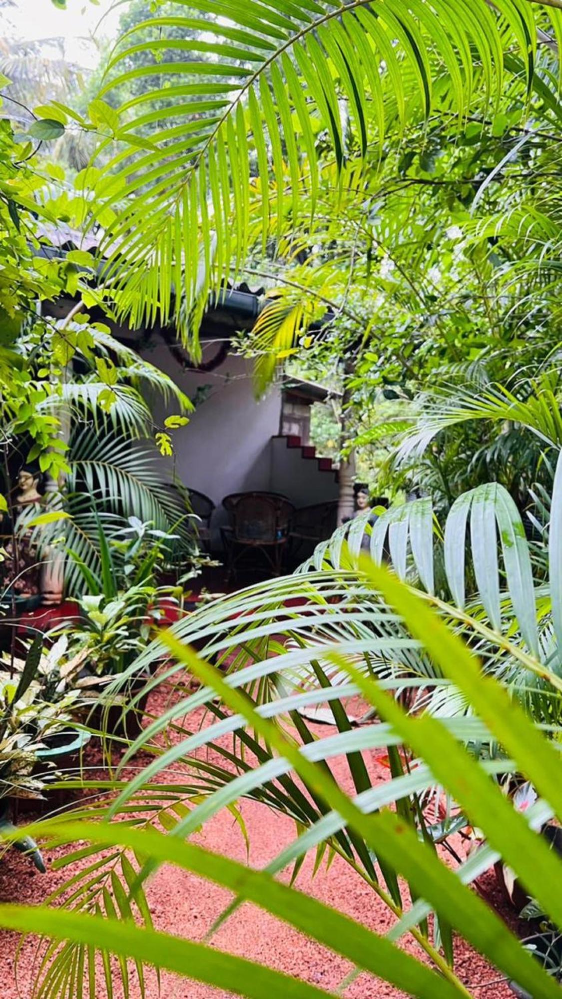 Sigiri Kp Family Home Sigiriya Luaran gambar