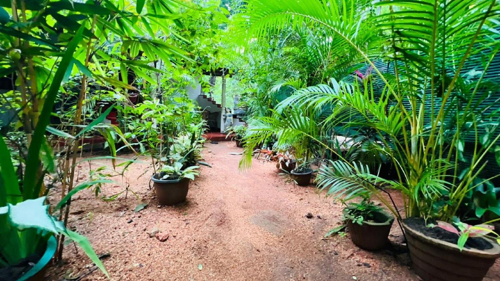 Sigiri Kp Family Home Sigiriya Luaran gambar