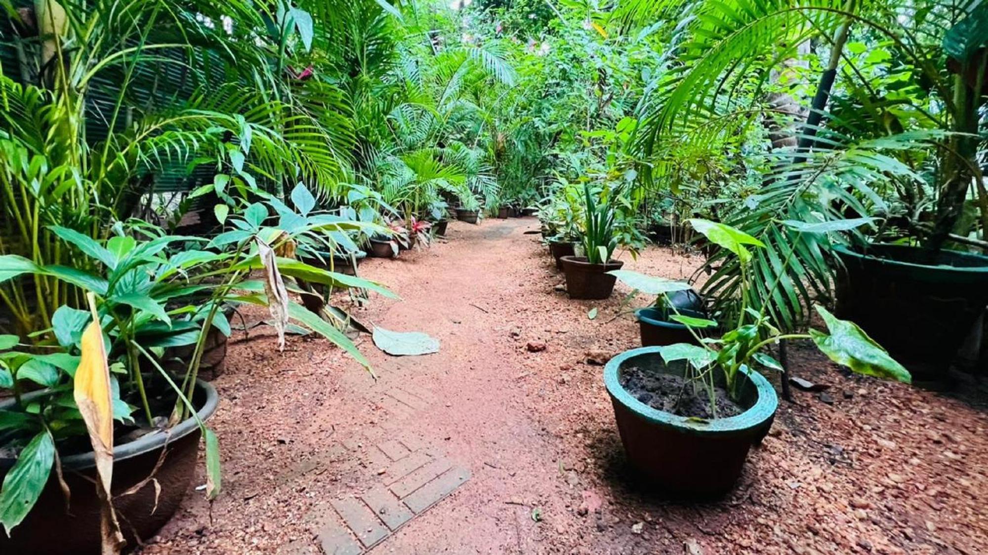 Sigiri Kp Family Home Sigiriya Luaran gambar