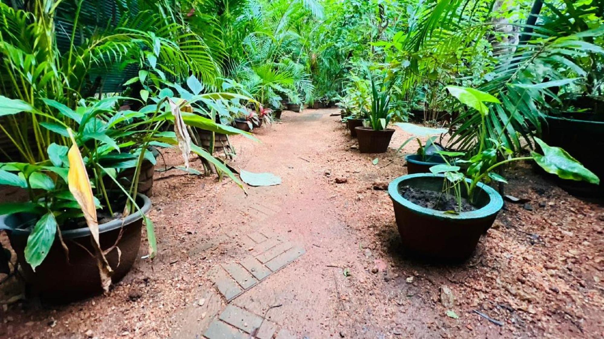 Sigiri Kp Family Home Sigiriya Luaran gambar